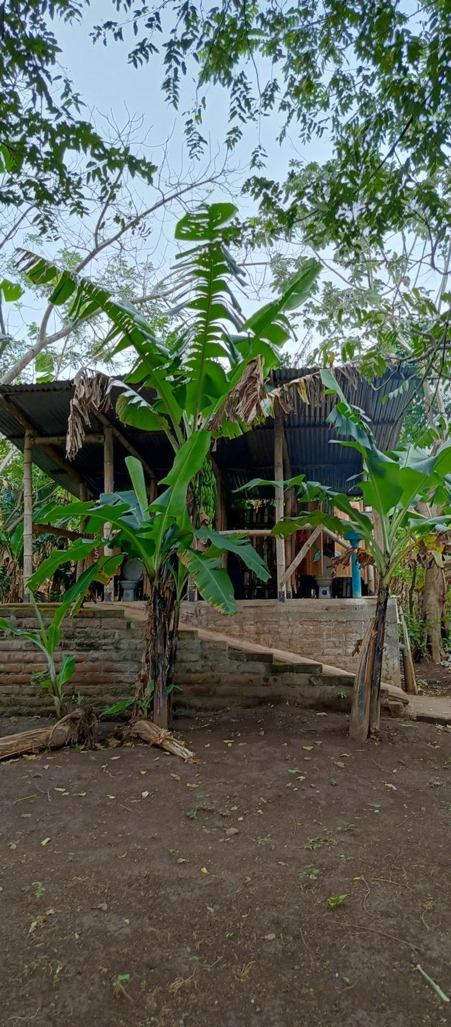 Готель La Sirenita - Ometepe Altagracia Екстер'єр фото